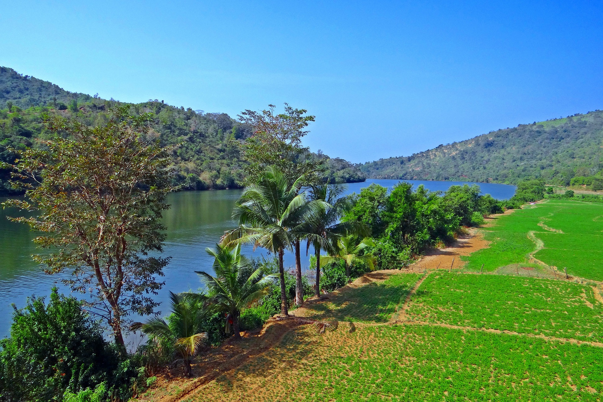 Rudra.Tours: Nature Scene on the Western Ghats section of our Goa Tour. 