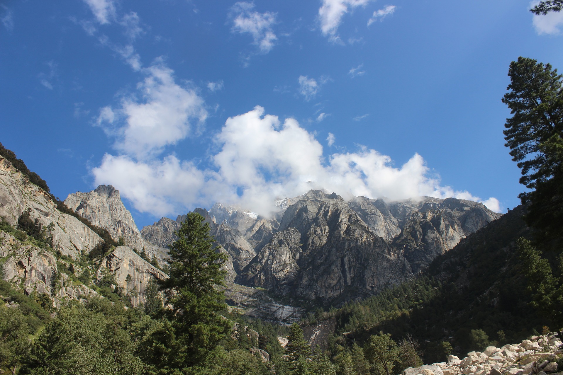 Rudra.Tours: Mountains and Pine Trees on  Dalhousie leg of our Himachal Pradesh Tour. 