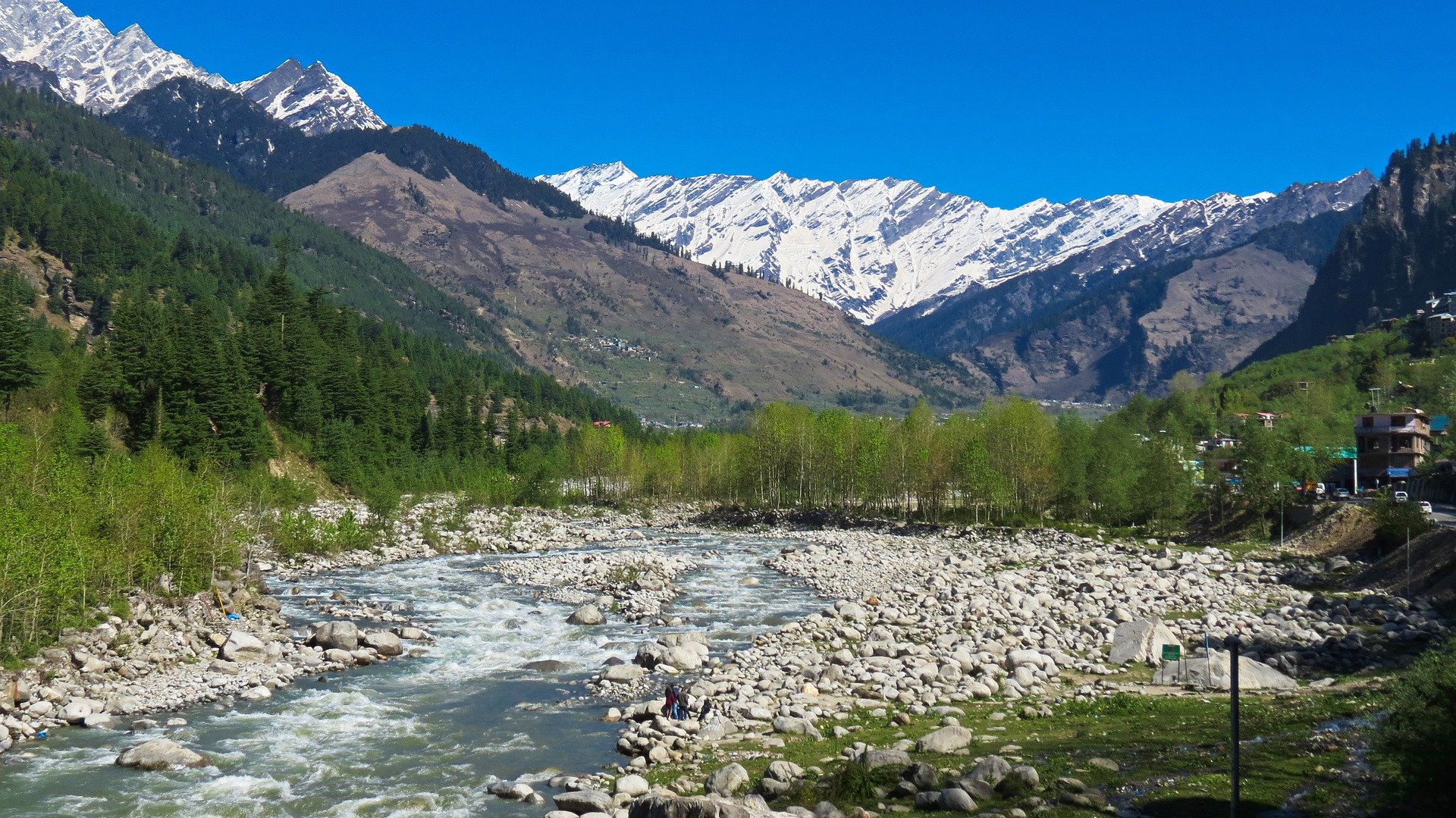 Rudra.Tours: bountiful nature scenes in Manali part of our Himachal Pradesh Tour.